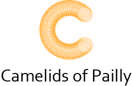 Diseño de Logo por kjc para este proyecto | Diseño #18929110