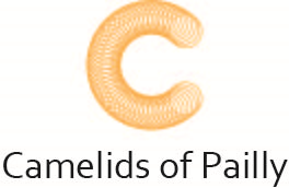 Logo Design by kjc for this project | Design #18929110