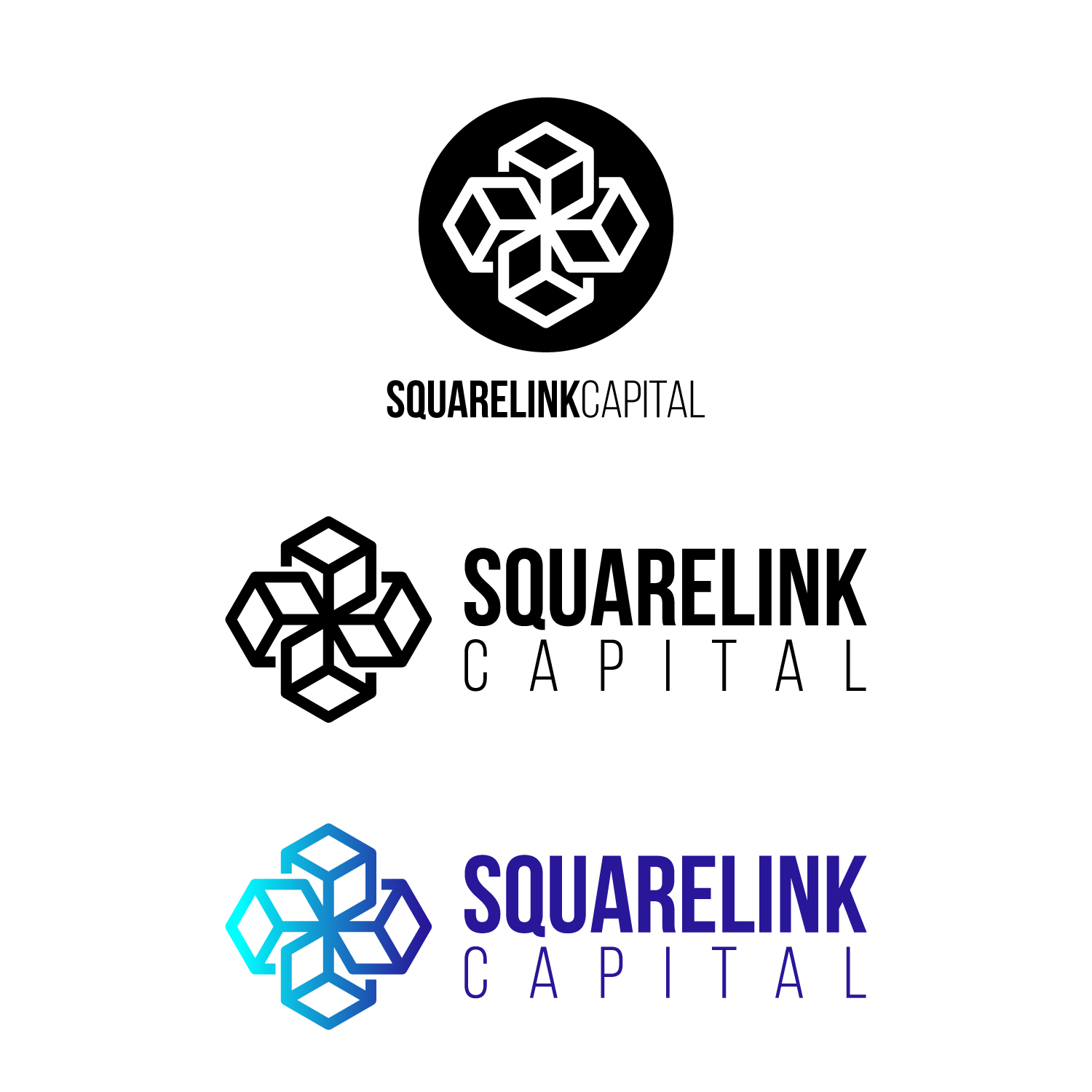 Logo Design by anshtoyj for this project | Design #18854301