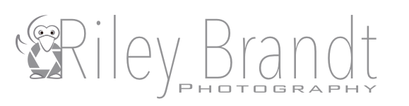 Logo Design by DesignPro101 for this project | Design #2857948