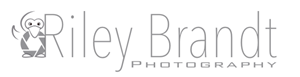 Logo Design by DesignPro101