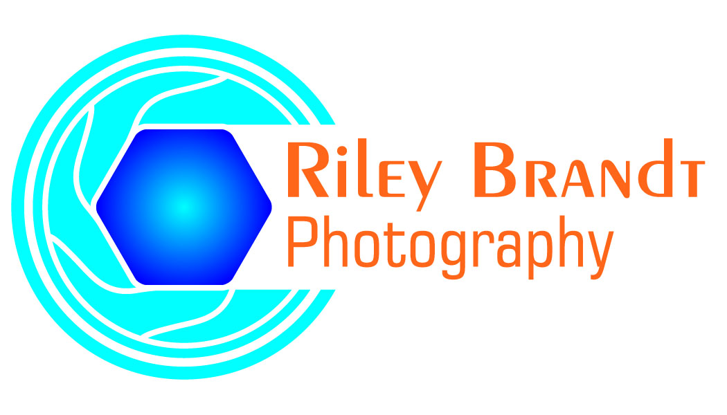 Logo Design by muruganpy for this project | Design #2873708