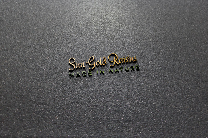 Logo Design by Top1 for this project | Design #18841644