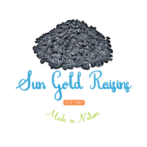 Logo Design by Agustin  Designer