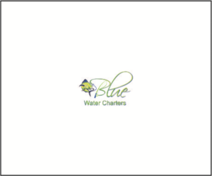 Logo Design by Mihaela for this project | Design: #18875711