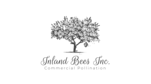 Logo Design by rimakhachatryan