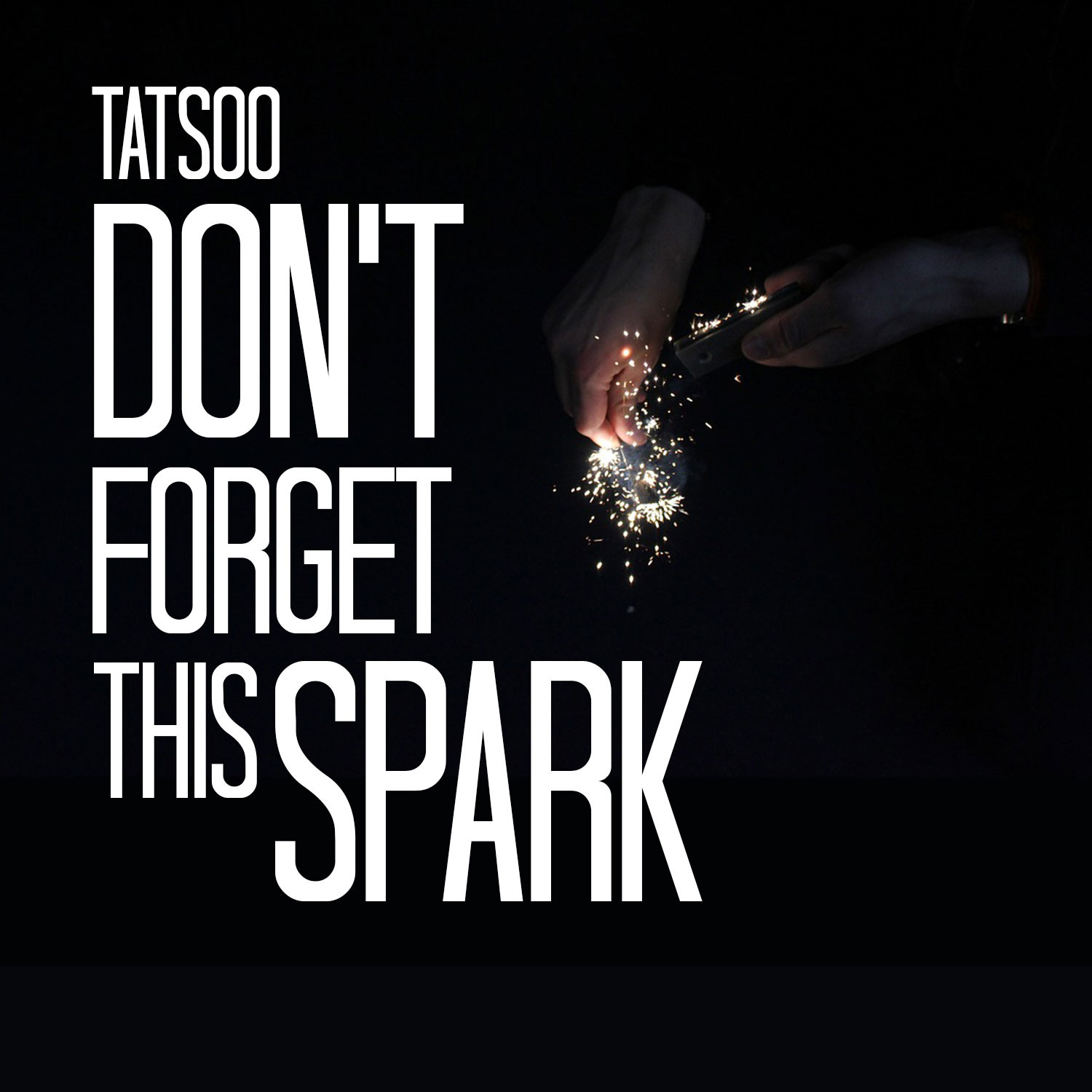 CD Cover Design by Estratosphera for this project | Design #18859023