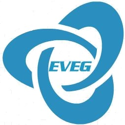 Logo Design by Mathew Evegtech