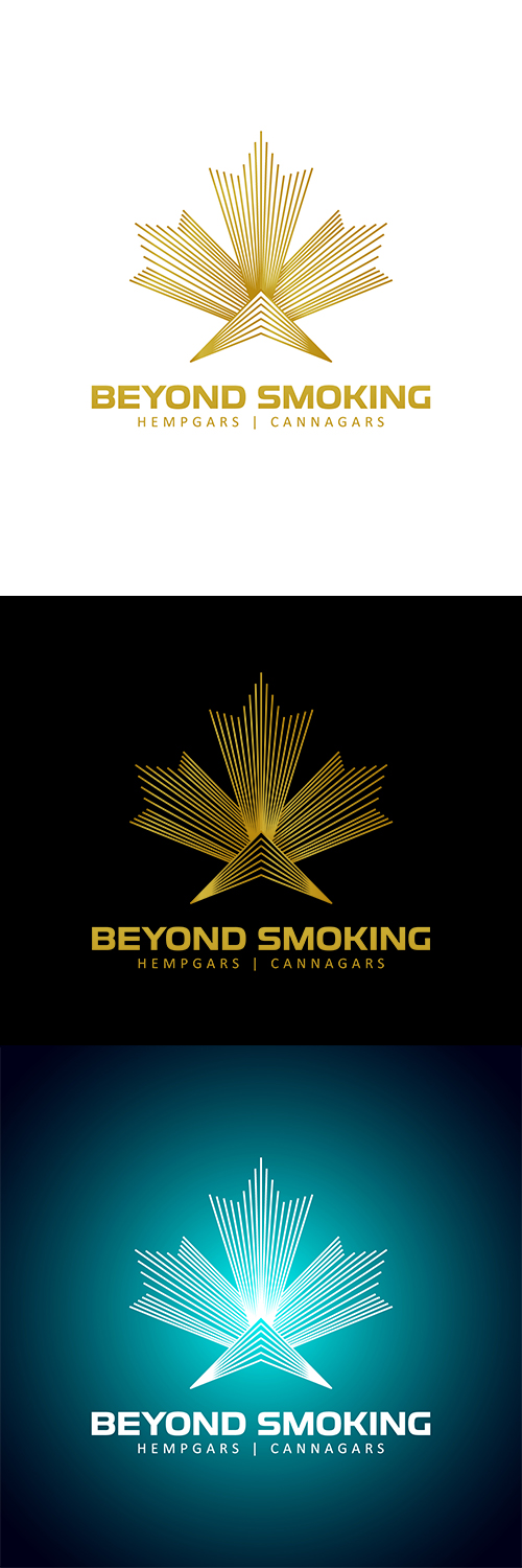 Logo Design by anshtoyj for this project | Design #18864308
