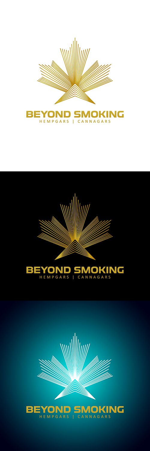 Logo Design by anshtoyj for this project | Design #18878509