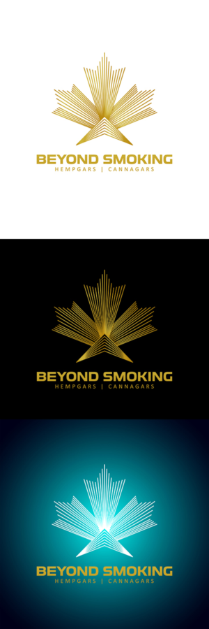 Logo Design by anshtoyj for this project | Design: #18878509