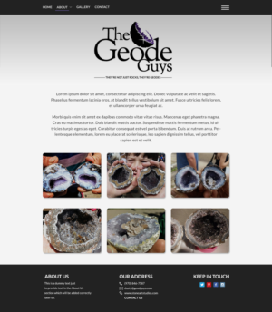 Web Design by Lovella for The Geode Guys | Design: #19990101