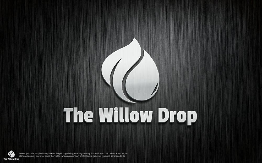 Logo Design by muhammad 31 for this project | Design #18880439