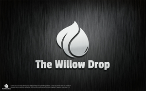 Logo Design by muhammad 31 for this project | Design: #18880439