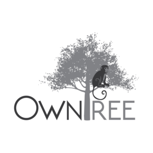 Logo Design by Impressive Solutions for this project | Design: #18964278