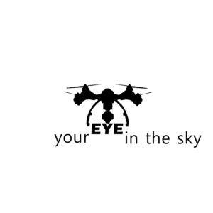 Logo Design by Dariush Zakeri for Free Time Drones | Design #18982724
