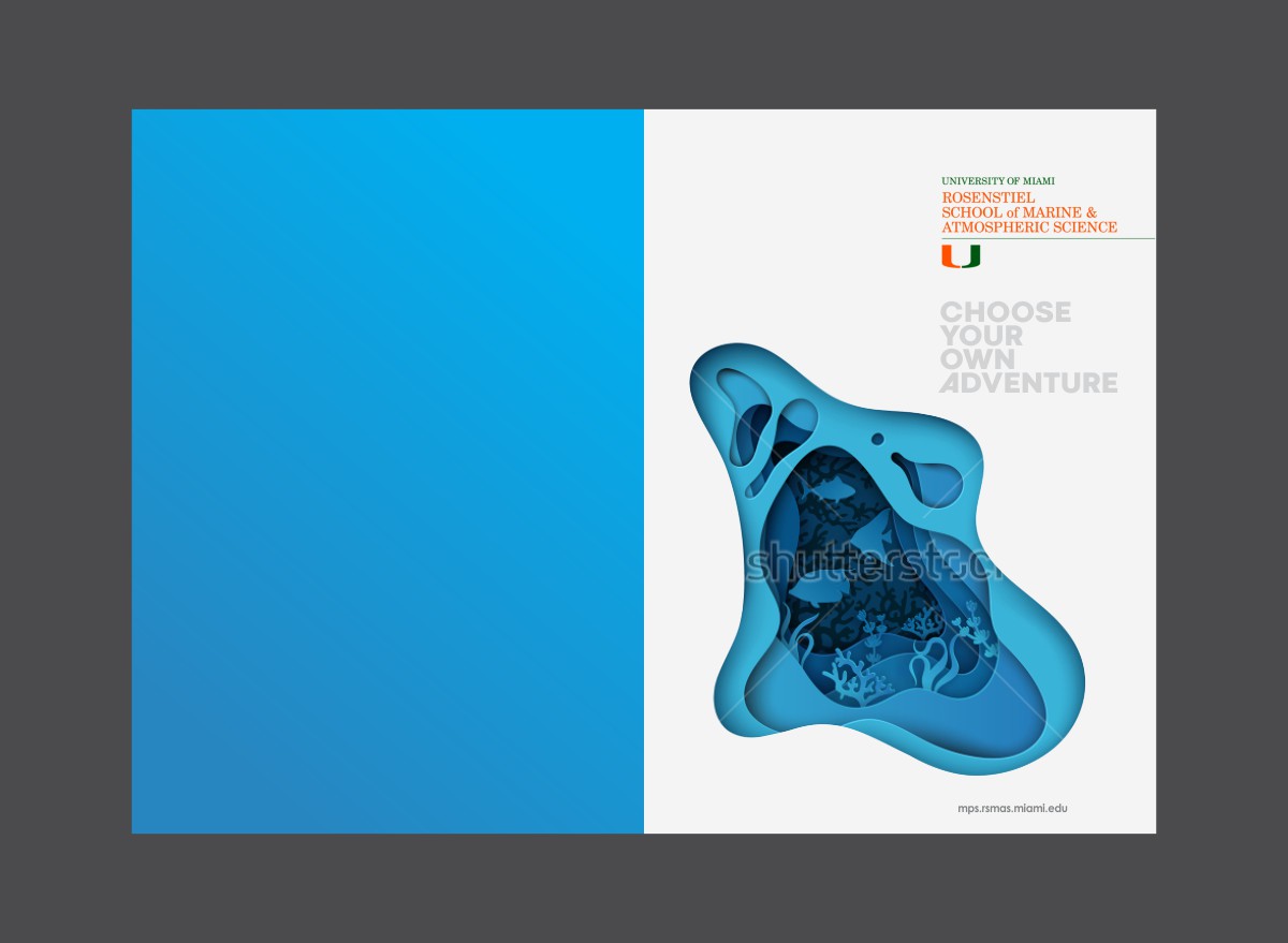 Elegant, Playful Brochure Design for University of Miami by
