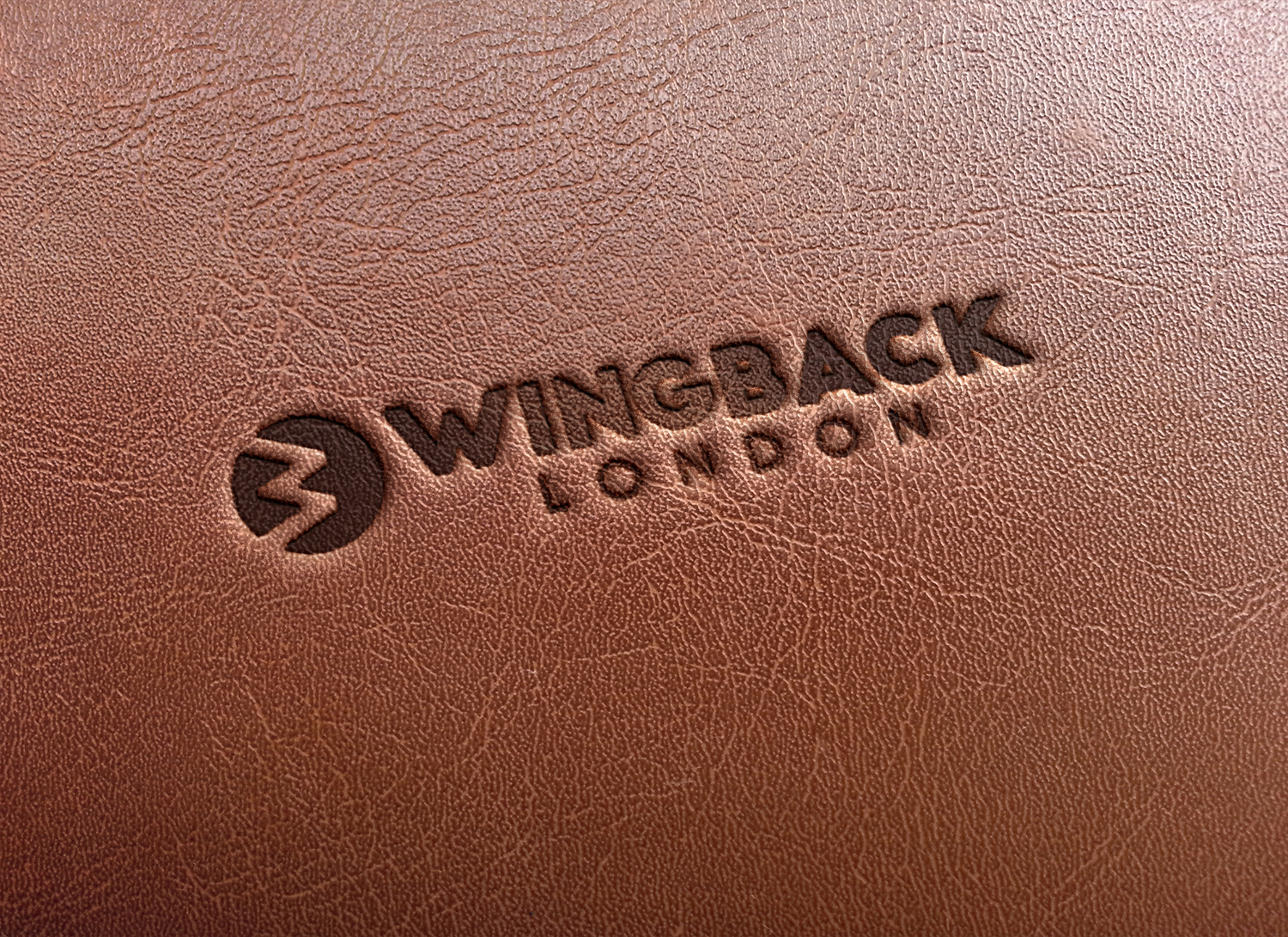 Diseño de Logo por manuelpolaina para Wingback LTD | Diseño #18910027