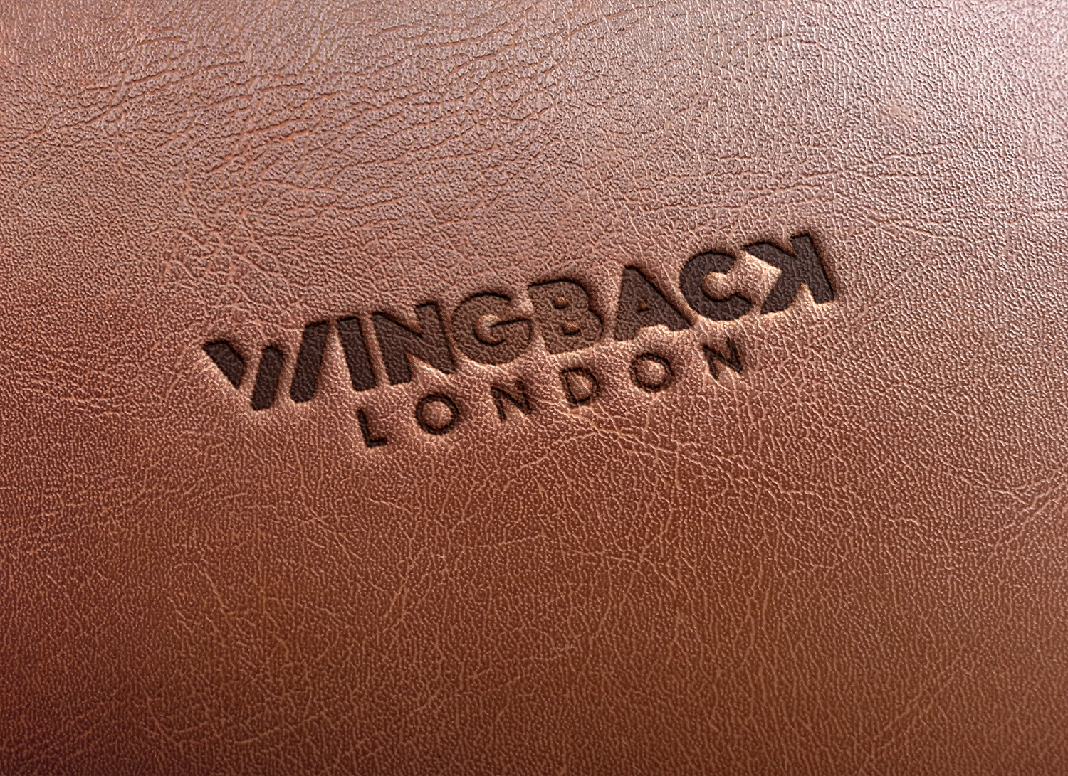 Diseño de Logo por manuelpolaina para Wingback LTD | Diseño #18910194