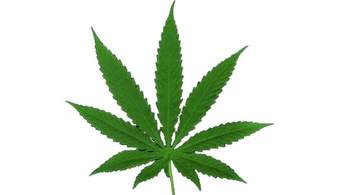 Diseño de Logo por purnomo para este proyecto | Diseño #2840535