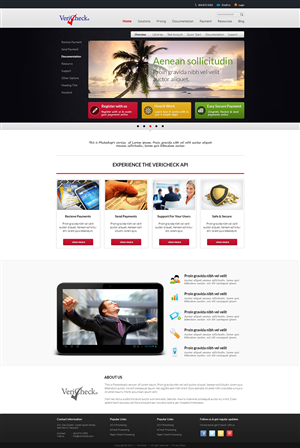 Payment Processor Website Design | Web Design by WirePaper