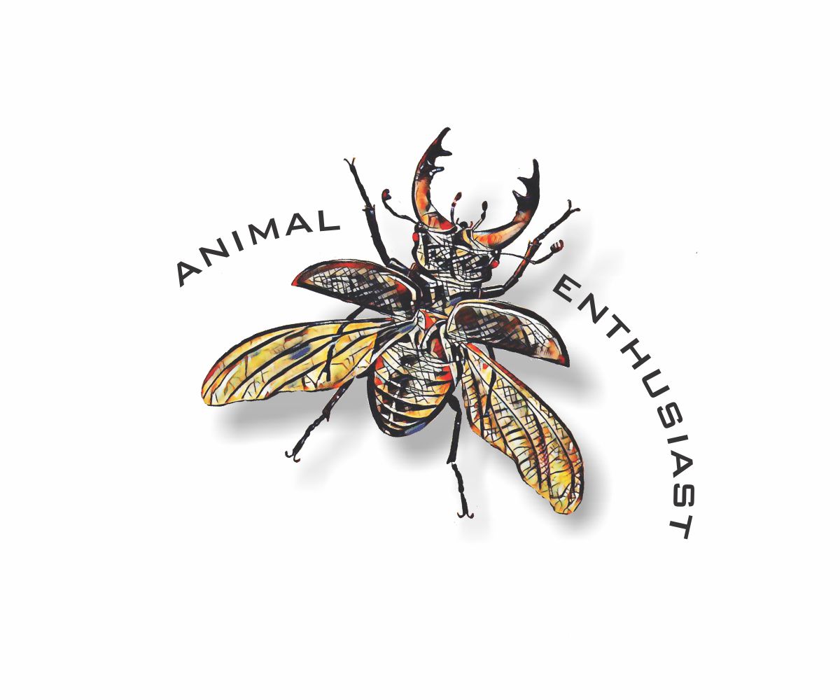 Diseño Artístico por Cut and Glue para este proyecto | Diseño #18899597