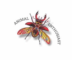 Wildlife spotting blog needs a drawing | Kunst-Design von Cut and Glue