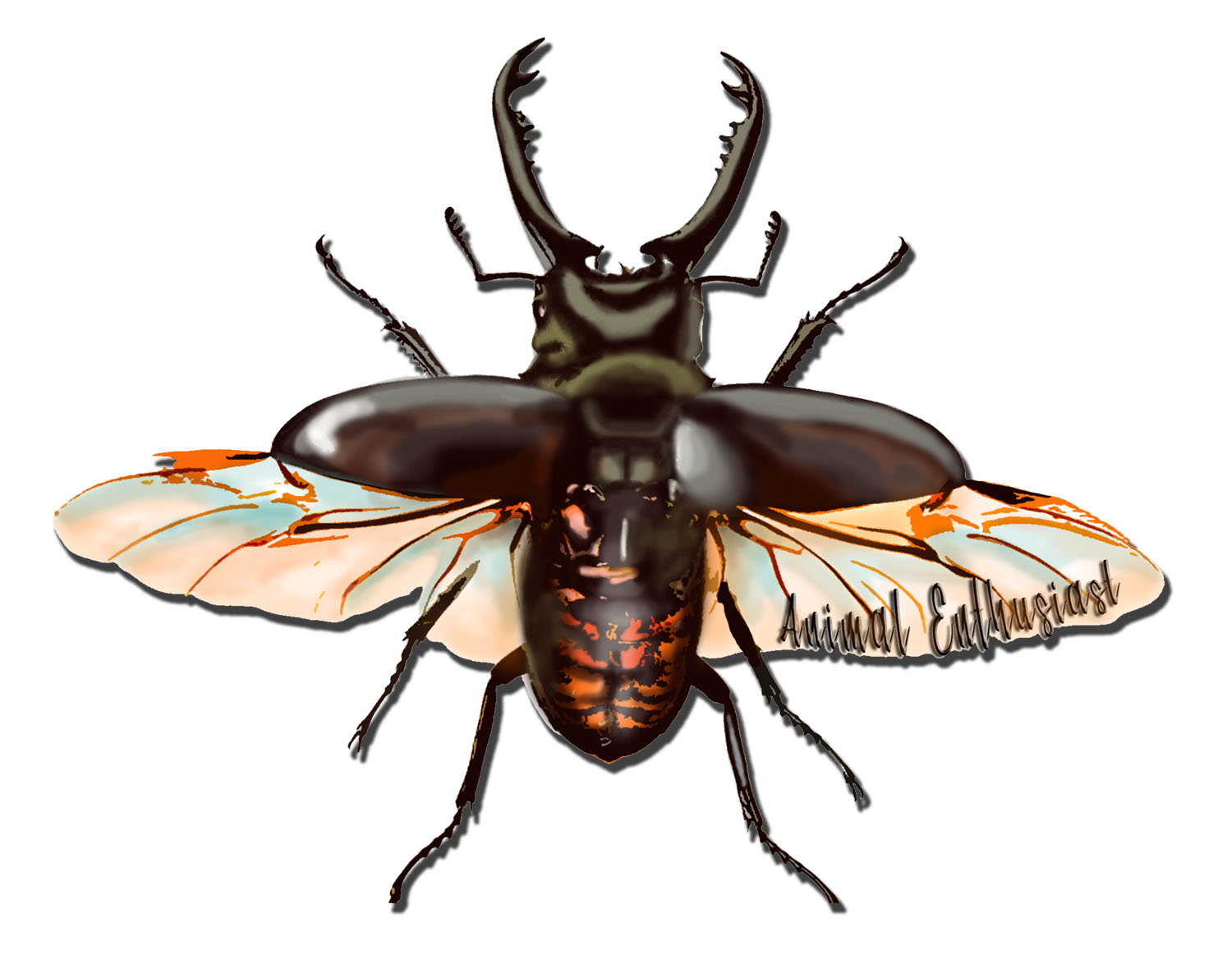 Art Design by Melissa 11 for this project | Design #18906636