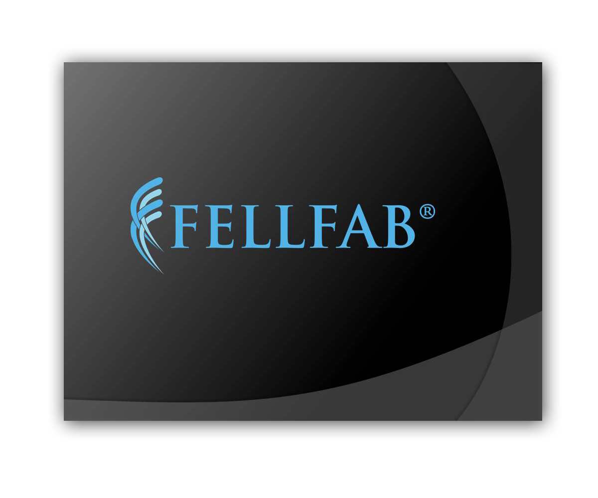 PowerPoint-Design von anakonda für FELLFAB Limited | Design #2871064