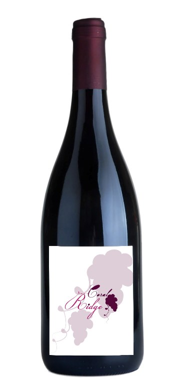 Signage Design by Mihaela Scobici for this project | Design #2848380