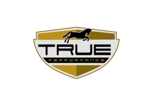 True Performance | Logo Design by NILDesigns