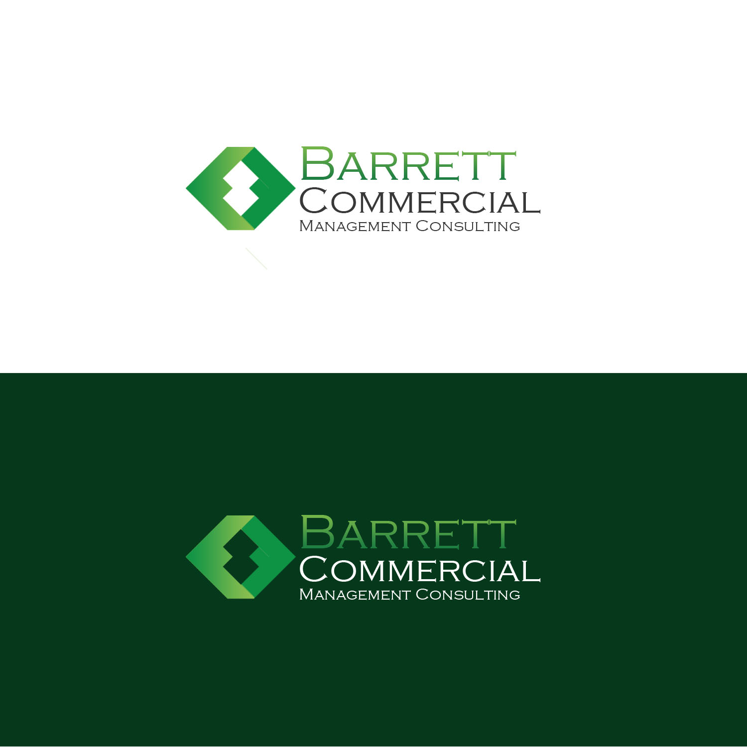 Logo Design by gilles_v for Business Image Services Ltd | Design #2850191