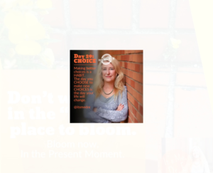 Graphic Design by Exotic Blue for Mindful Media, LLC | Design: #18898747
