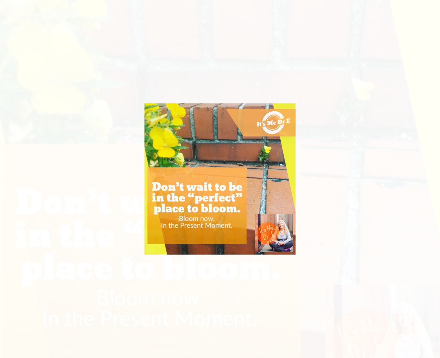 Graphic Design by Exotic Blue for Mindful Media, LLC | Design #18898748