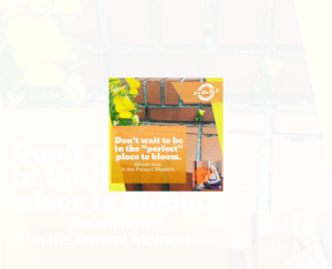 Graphic Design by Exotic Blue for Mindful Media, LLC | Design: #18898748