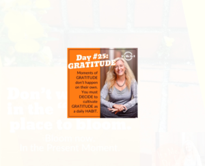 Graphic Design by Exotic Blue for Mindful Media, LLC | Design: #18898750