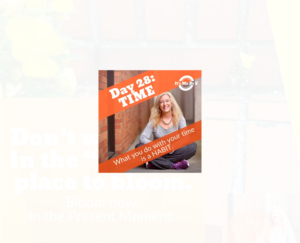 Graphic Design by Exotic Blue for Mindful Media, LLC | Design: #18898751