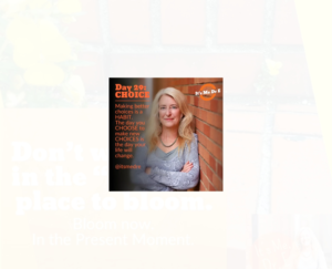 Graphic Design by Exotic Blue for Mindful Media, LLC | Design: #18898756