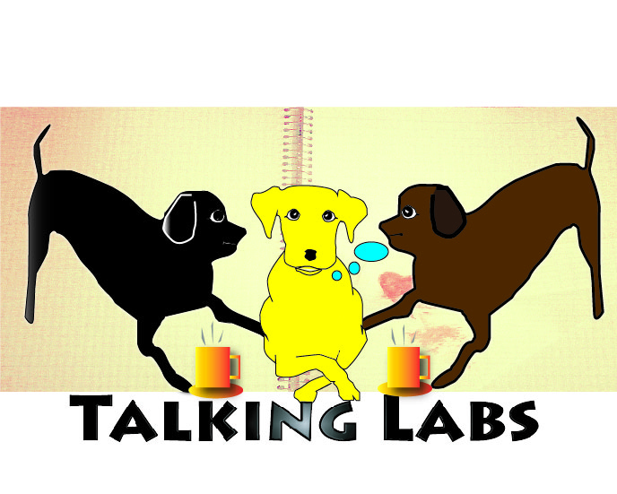 Logo Design by Kenley gish enterprise for this project | Design #2841961