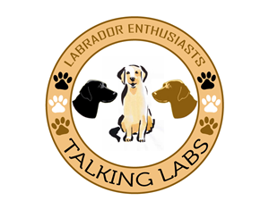 Logo Design by asgharshah