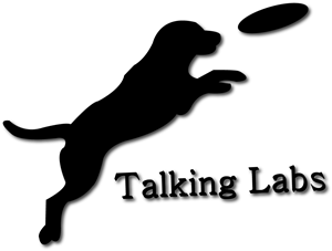Logo Design by Sanghamitra