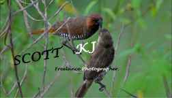 Business Card Design by HiRaShAn for this project | Design #2844912