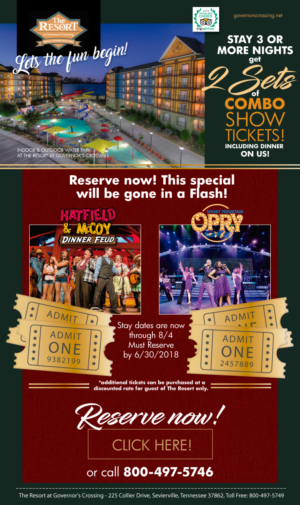 Email Marketing Design by Sarina.dsg for Smoky Mountain Resorts | Design: #18933004