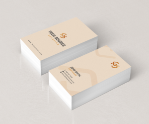 Business Card Design by chandrayaan.creative for Tech Source Solution | Design: #18925942