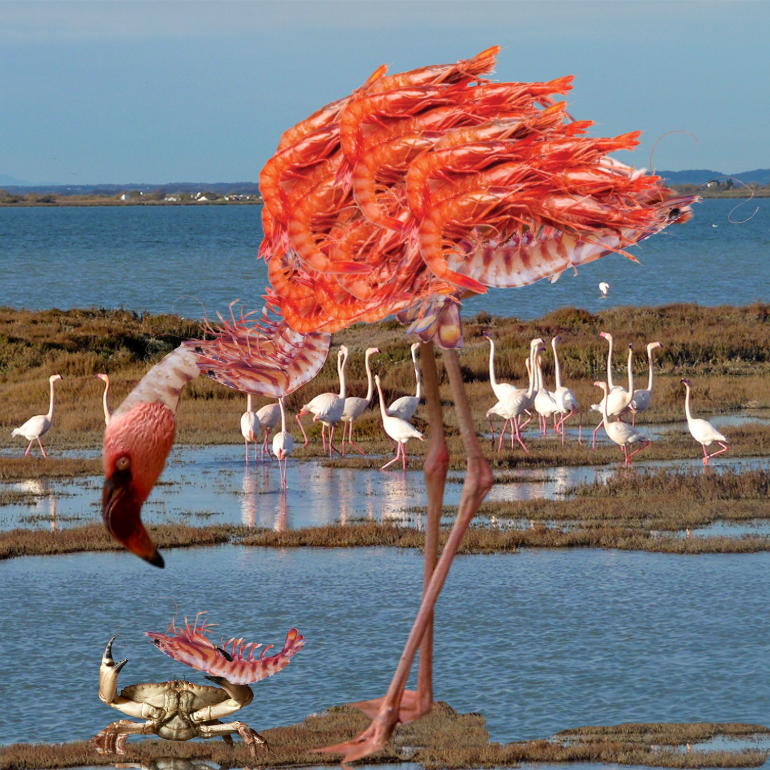 Diseño de Photoshop por clauder13 para DesignCrowd (Community Contests) | Diseño #18934381