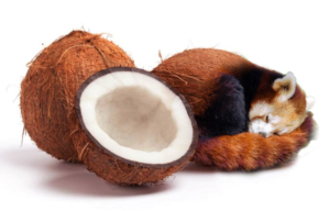 Photoshop Design by Casser