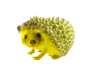 Photoshop Design by Sorjie