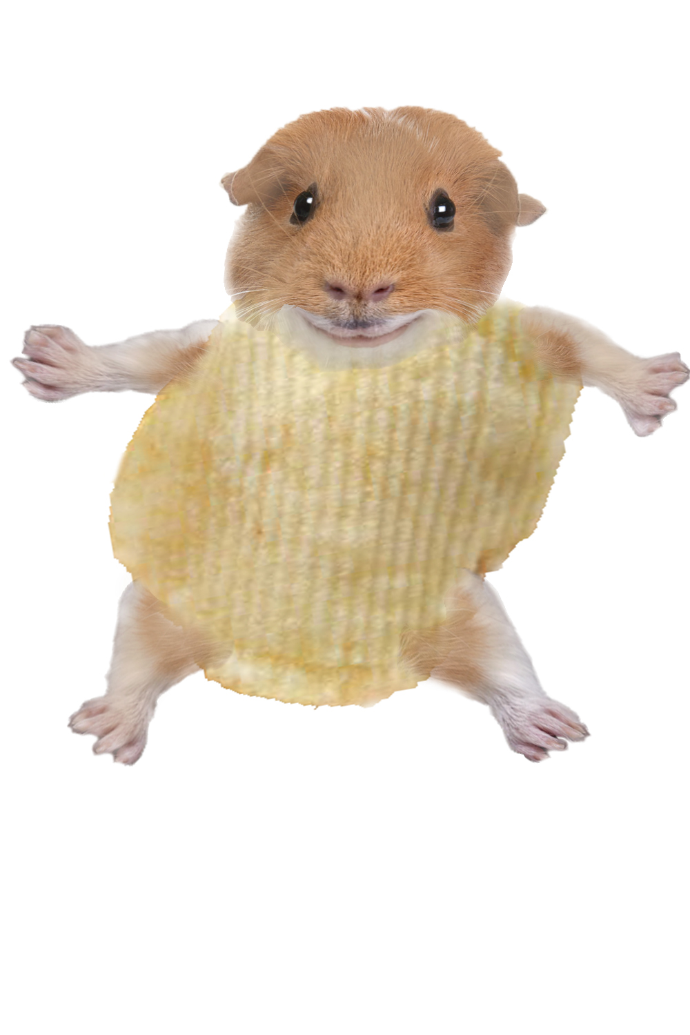 Photoshop Design by Adib_Art for DesignCrowd (Community Contests) | Design #18920722