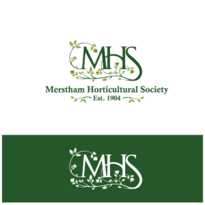 Logo Design by Mosa Abo swelem