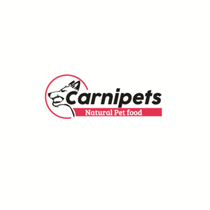 Logo Design by art  X